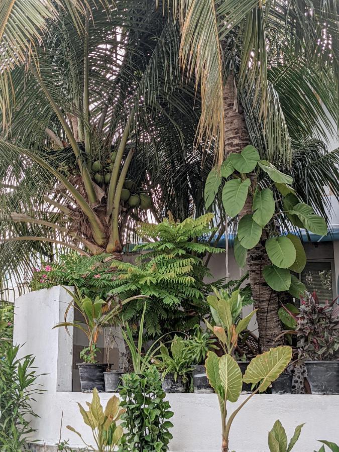 Hotel Dhoadhi Retreat Thulusdhoo Exterior foto